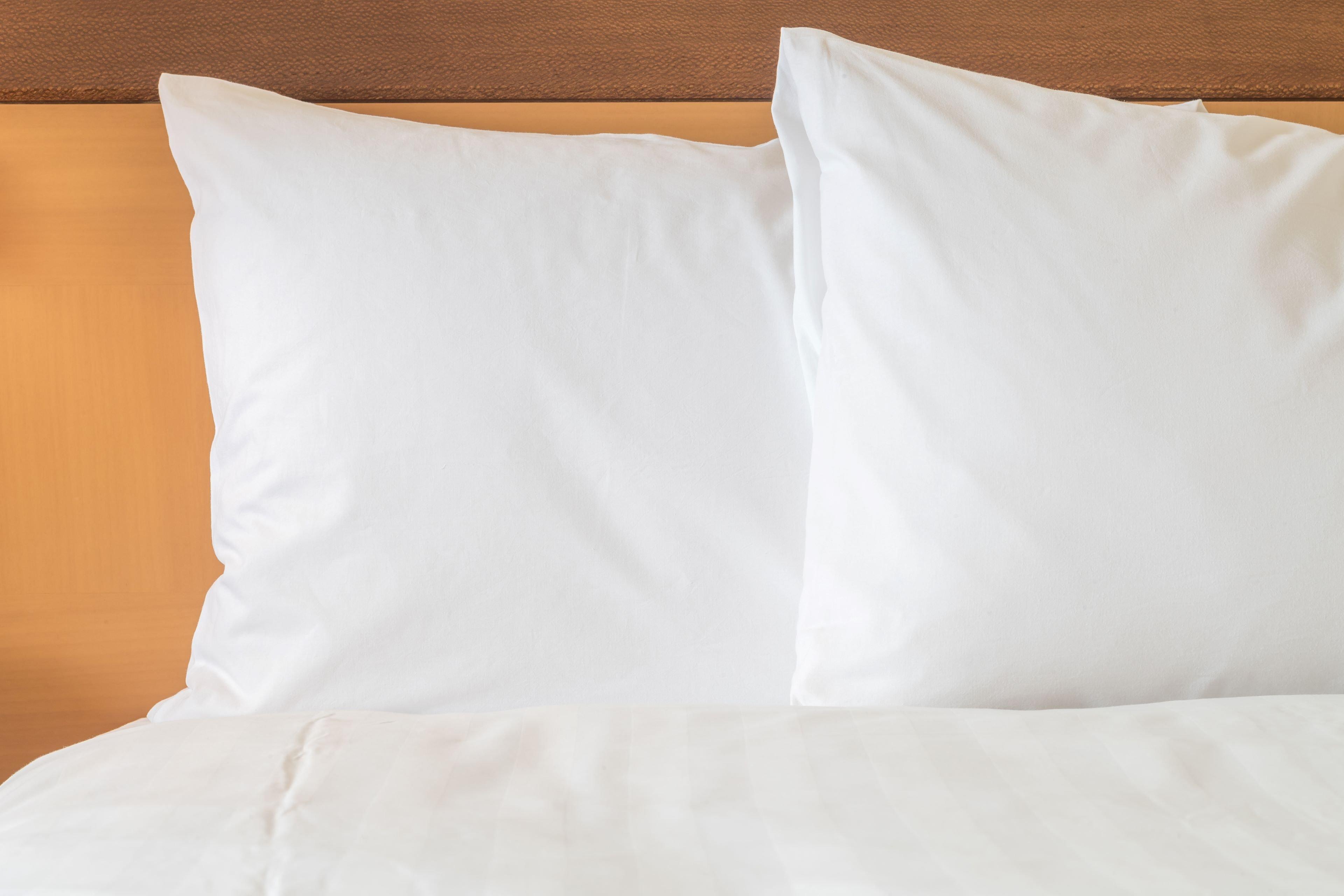 Holiday Inn Express Hotel & Suites Rochester By Ihg Eksteriør billede